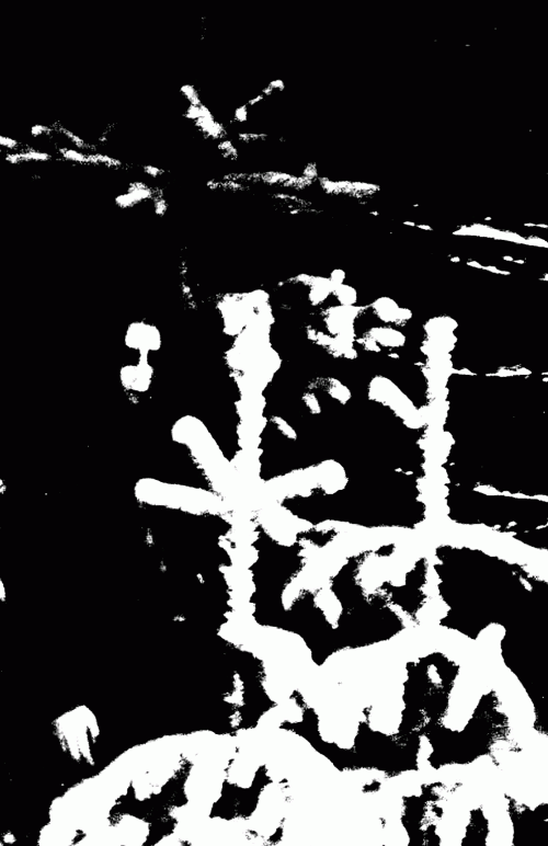 Faustus (SWE-1) : Misantropins Väg